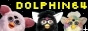 dolphin64.jpg